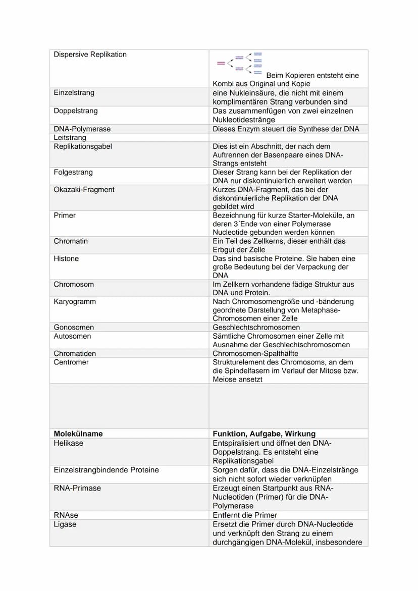 Fachbegriff
Erbgut
Gen
Genom
Genetik
Phänotyp (Erscheinungsbild)
Genotyp (Erbgut)
Desoxyribonucleinsäure
Ribonukleinsäure
Transformation
Dop