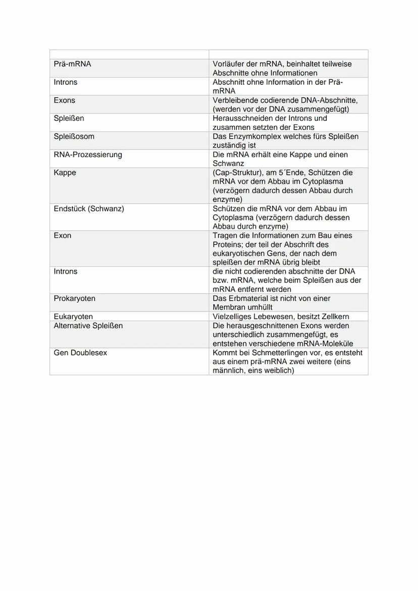 Fachbegriff
Erbgut
Gen
Genom
Genetik
Phänotyp (Erscheinungsbild)
Genotyp (Erbgut)
Desoxyribonucleinsäure
Ribonukleinsäure
Transformation
Dop
