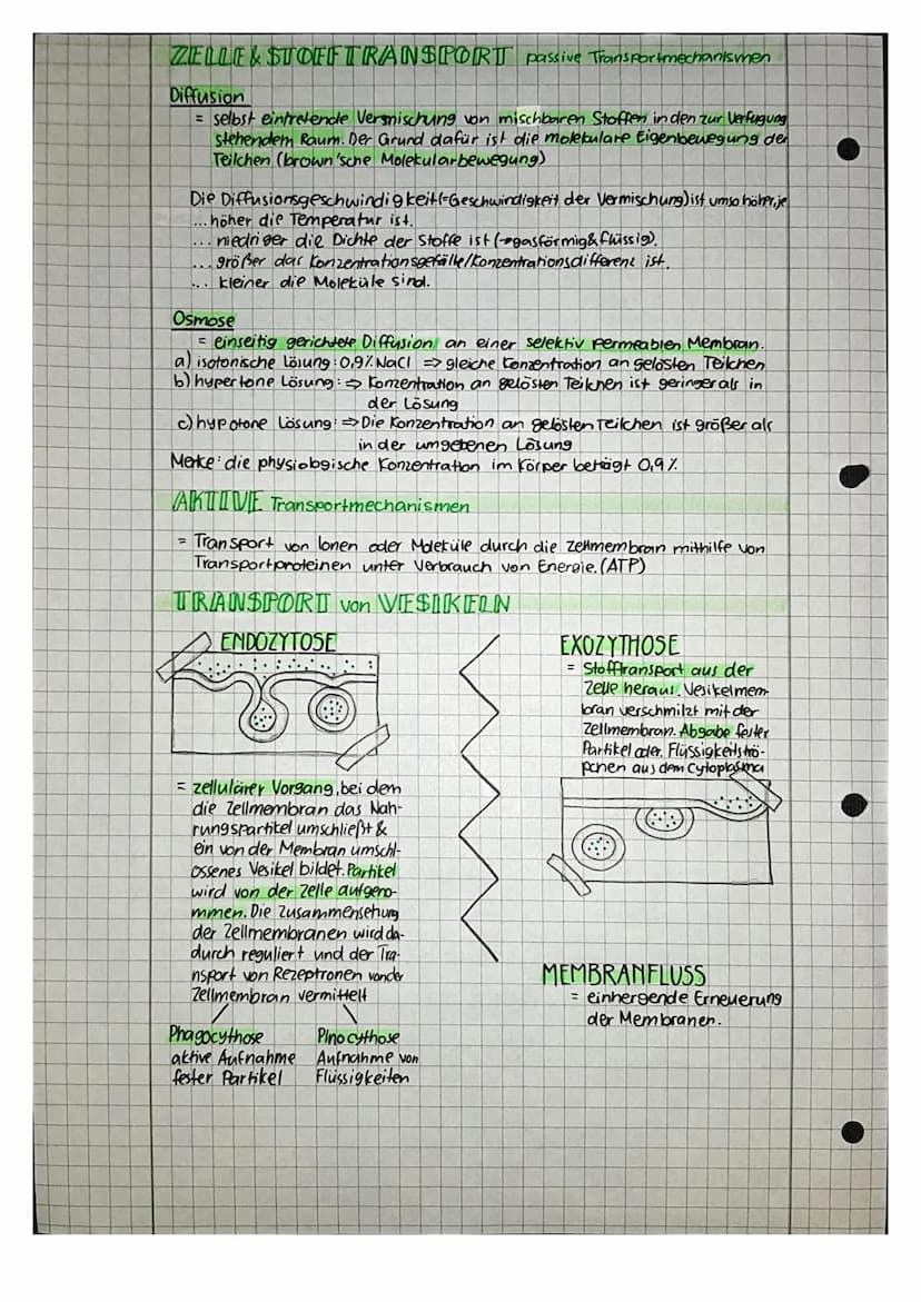 ●
Biologic
ZELIBIOLOGUE-von der Zelle zum Organ
1.Zelltheorie
1. Alle Lebewesen sind aus Zellen und deren Produkten aufgebaut.
2. Alle Zelle