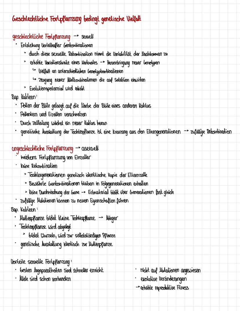 Homologien und Analogien
Honologie
=> Abstammungsähnlichkeit
.
Organe gellen als homolog, wenn eines der Kriterien erfüllt ist:
1. Kriterium