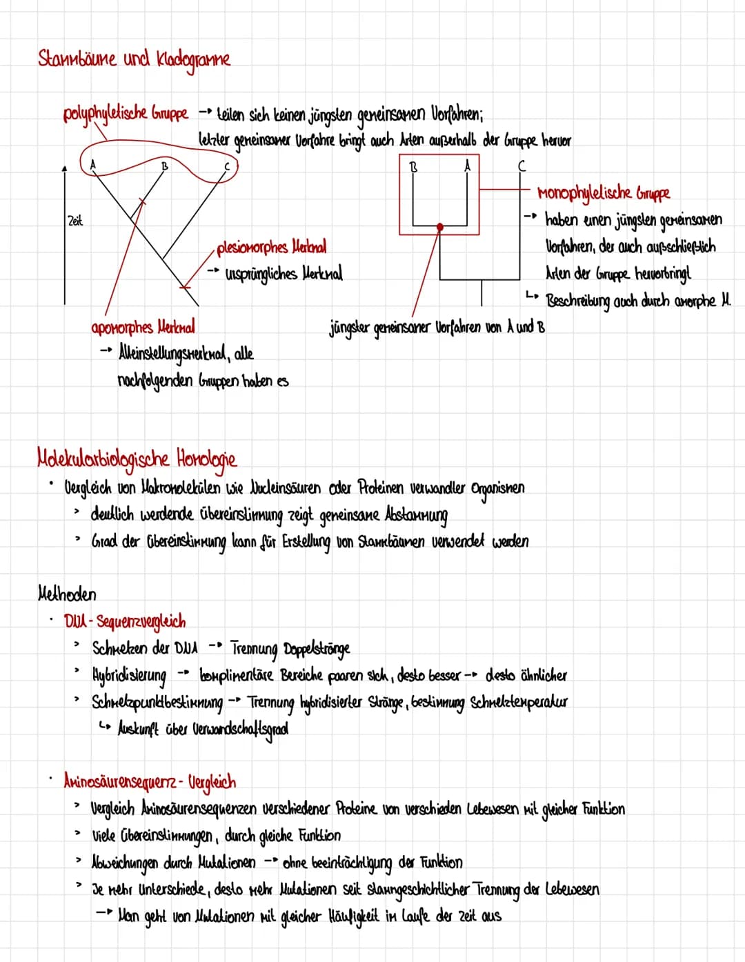 Homologien und Analogien
Honologie
=> Abstammungsähnlichkeit
.
Organe gellen als homolog, wenn eines der Kriterien erfüllt ist:
1. Kriterium
