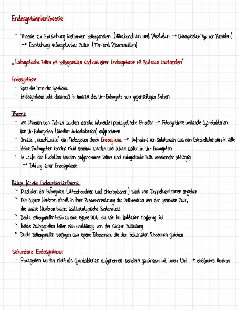 Homologien und Analogien
Honologie
=> Abstammungsähnlichkeit
.
Organe gellen als homolog, wenn eines der Kriterien erfüllt ist:
1. Kriterium