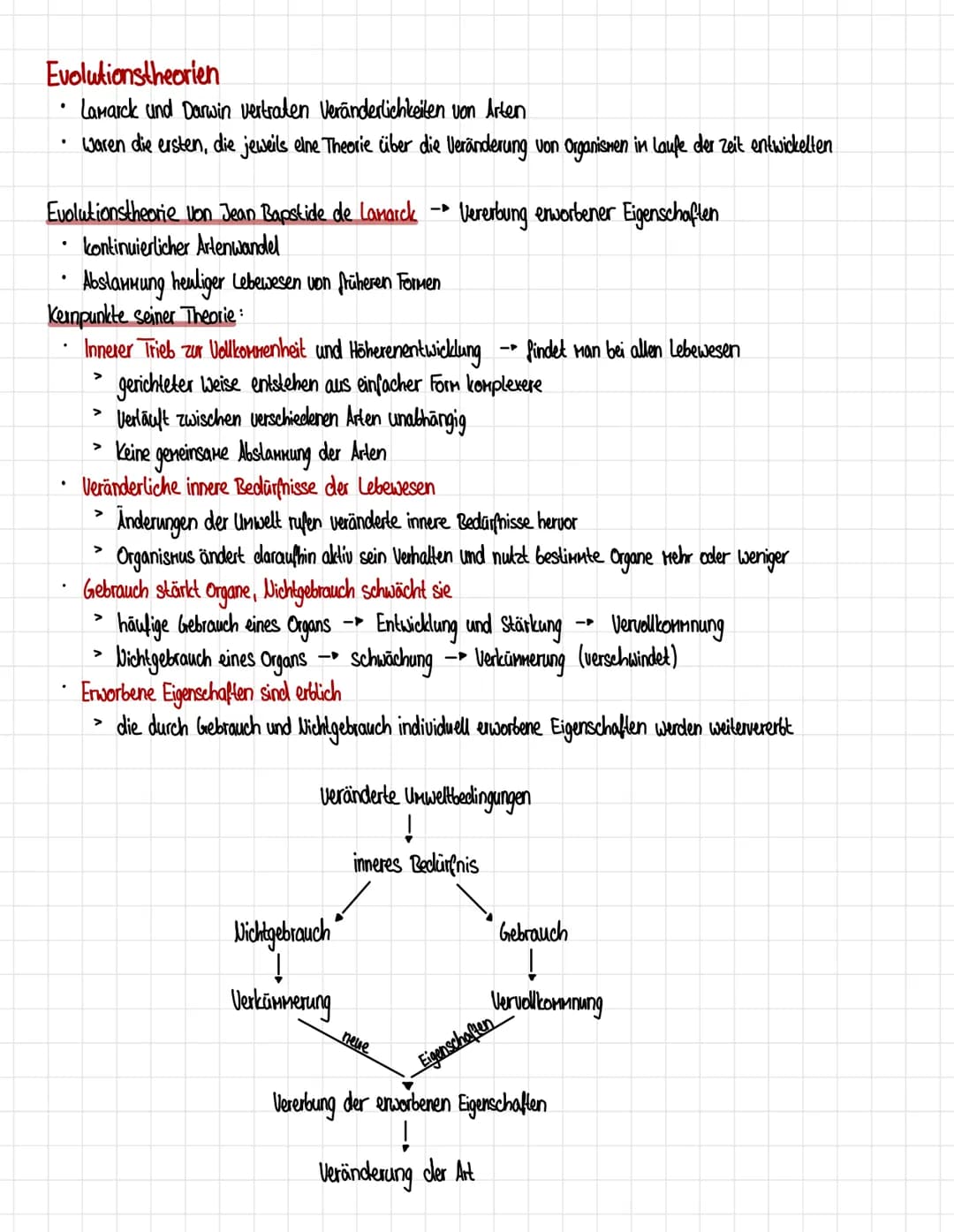 Homologien und Analogien
Honologie
=> Abstammungsähnlichkeit
.
Organe gellen als homolog, wenn eines der Kriterien erfüllt ist:
1. Kriterium