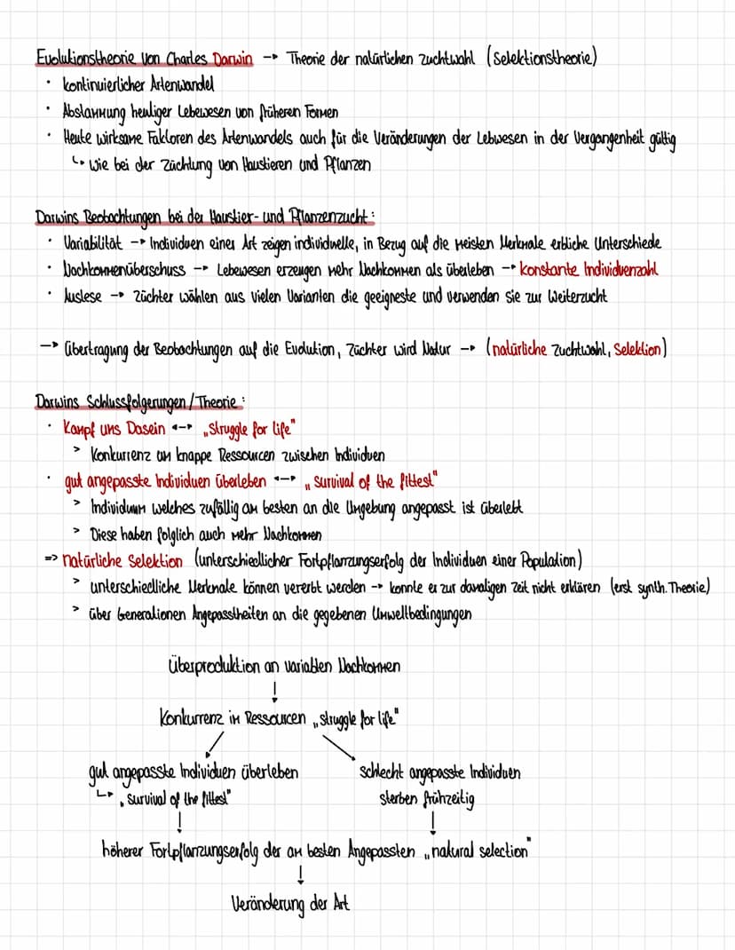Homologien und Analogien
Honologie
=> Abstammungsähnlichkeit
.
Organe gellen als homolog, wenn eines der Kriterien erfüllt ist:
1. Kriterium