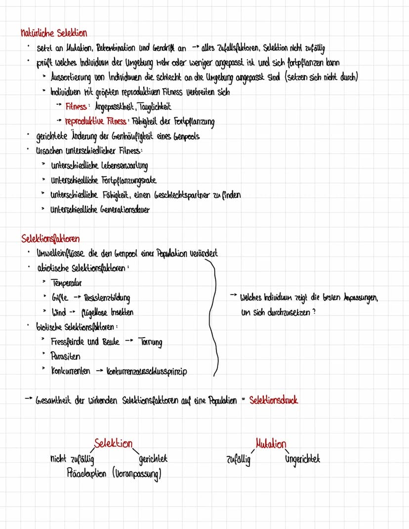 Homologien und Analogien
Honologie
=> Abstammungsähnlichkeit
.
Organe gellen als homolog, wenn eines der Kriterien erfüllt ist:
1. Kriterium