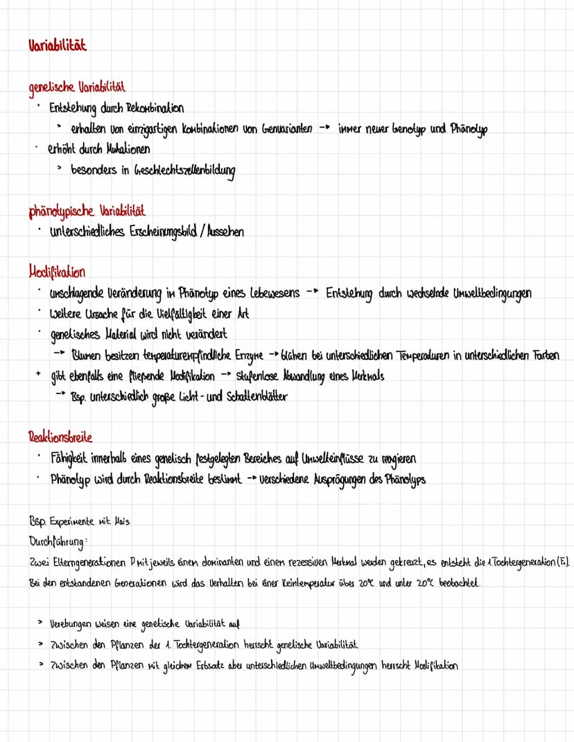 Homologien und Analogien
Honologie
=> Abstammungsähnlichkeit
.
Organe gellen als homolog, wenn eines der Kriterien erfüllt ist:
1. Kriterium