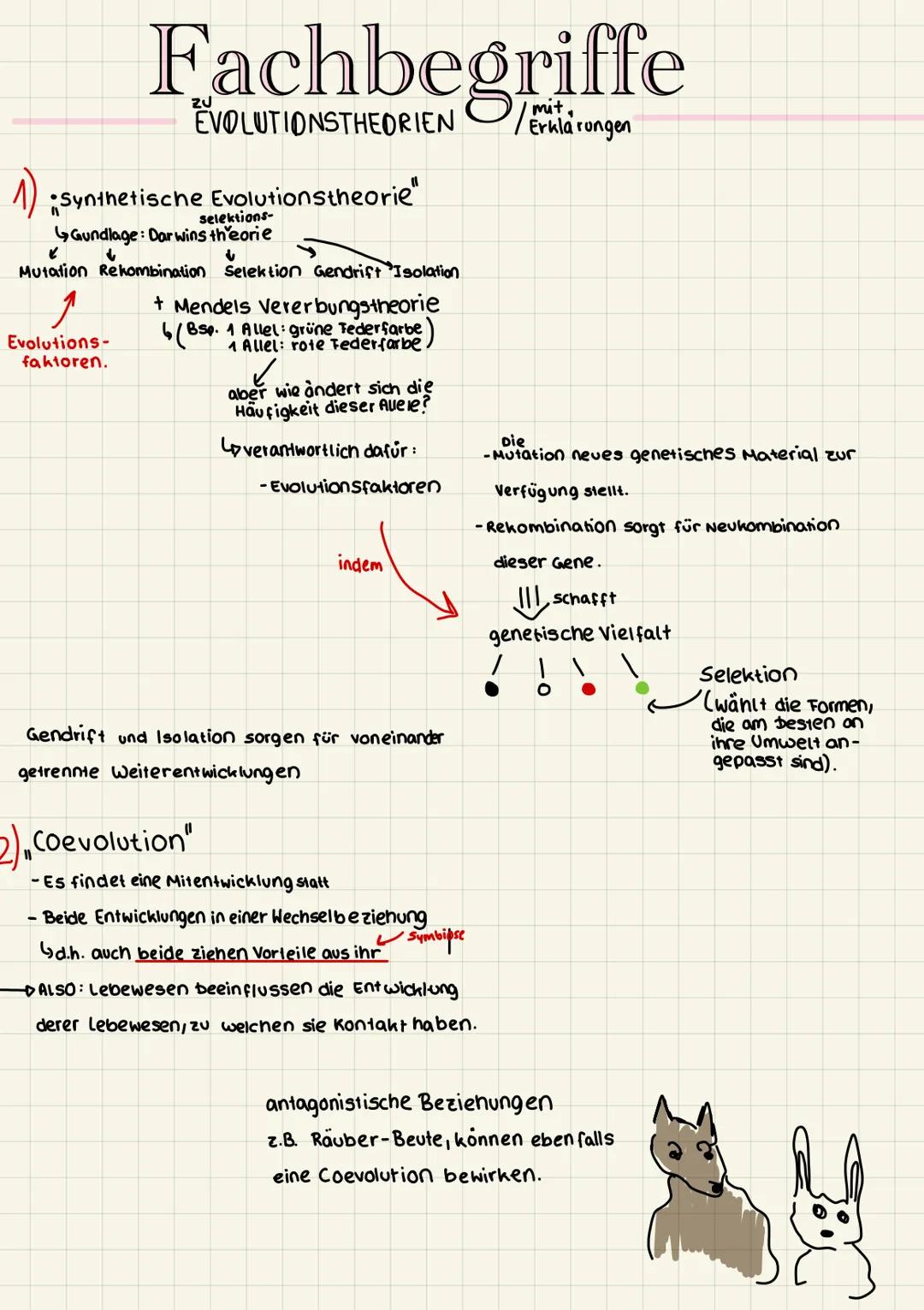 # Fachbegriffe
zu EVOLUTIONSTHEORIEN/mit Erklärungen

1) Synthetische Evolutionstheorie"
selektions-
Grundlage: Darwins theorie

Mutation Re