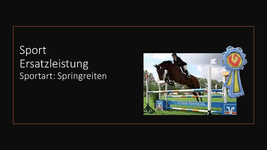 Springreiten: Höhen und Regeln für S, E, A, M & L Klassen