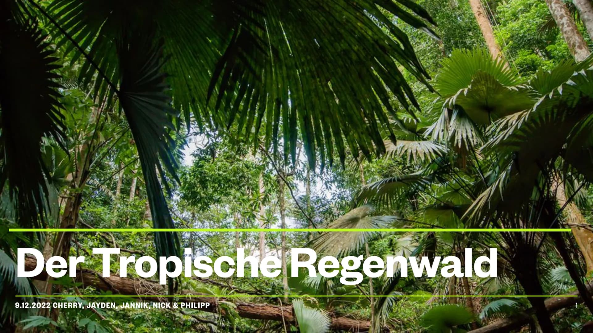 Der Tropische Regenwald
9.12.2022 CHERRY, JAYDEN, JANNIK, NICK & PHILIPP Inhaltsverzeichnis
Thema
Die Lage
Das Klima
Das Wasser
Der Boden
Ve