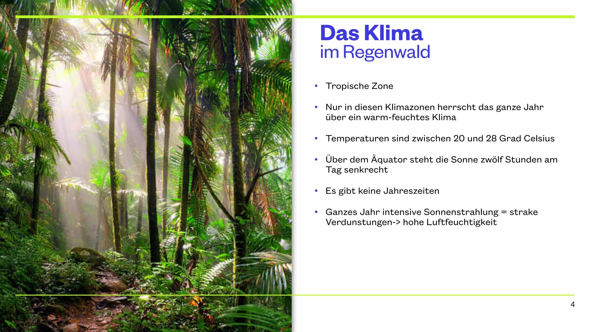 Der Tropische Regenwald
9.12.2022 CHERRY, JAYDEN, JANNIK, NICK & PHILIPP Inhaltsverzeichnis
Thema
Die Lage
Das Klima
Das Wasser
Der Boden
Ve