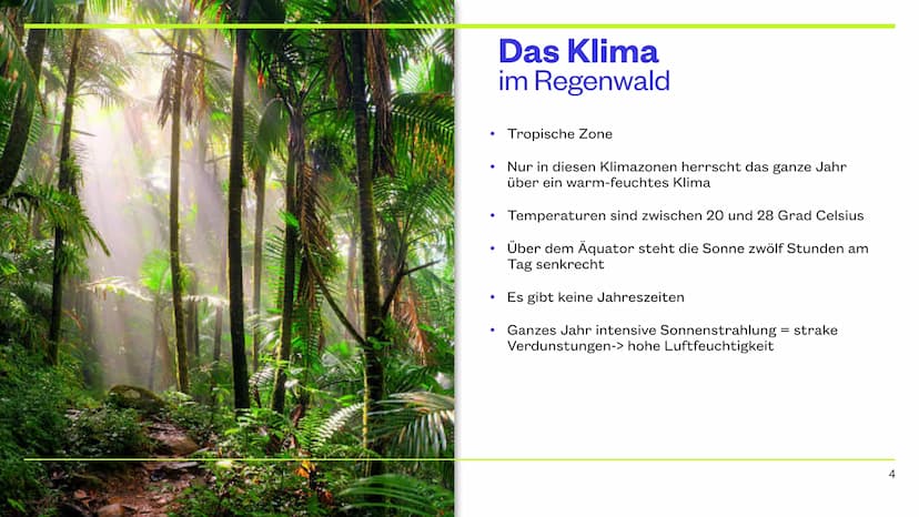 Der Tropische Regenwald
9.12.2022 CHERRY, JAYDEN, JANNIK, NICK & PHILIPP Inhaltsverzeichnis
Thema
Die Lage
Das Klima
Das Wasser
Der Boden
Ve