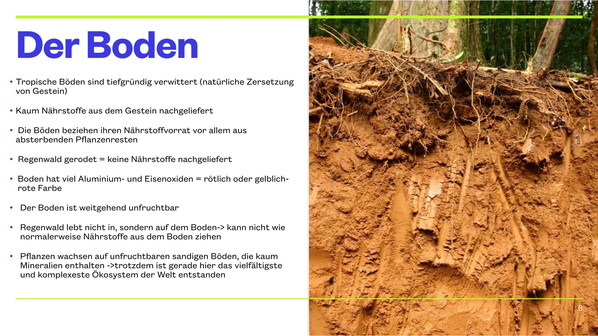 Der Tropische Regenwald
9.12.2022 CHERRY, JAYDEN, JANNIK, NICK & PHILIPP Inhaltsverzeichnis
Thema
Die Lage
Das Klima
Das Wasser
Der Boden
Ve