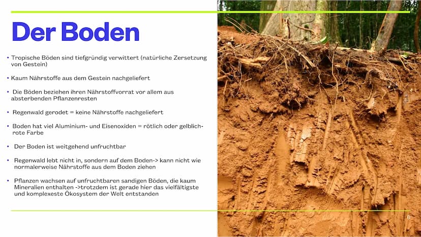 Der Tropische Regenwald
9.12.2022 CHERRY, JAYDEN, JANNIK, NICK & PHILIPP Inhaltsverzeichnis
Thema
Die Lage
Das Klima
Das Wasser
Der Boden
Ve