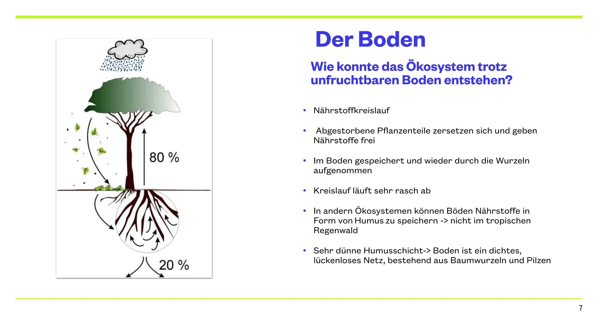 Der Tropische Regenwald
9.12.2022 CHERRY, JAYDEN, JANNIK, NICK & PHILIPP Inhaltsverzeichnis
Thema
Die Lage
Das Klima
Das Wasser
Der Boden
Ve