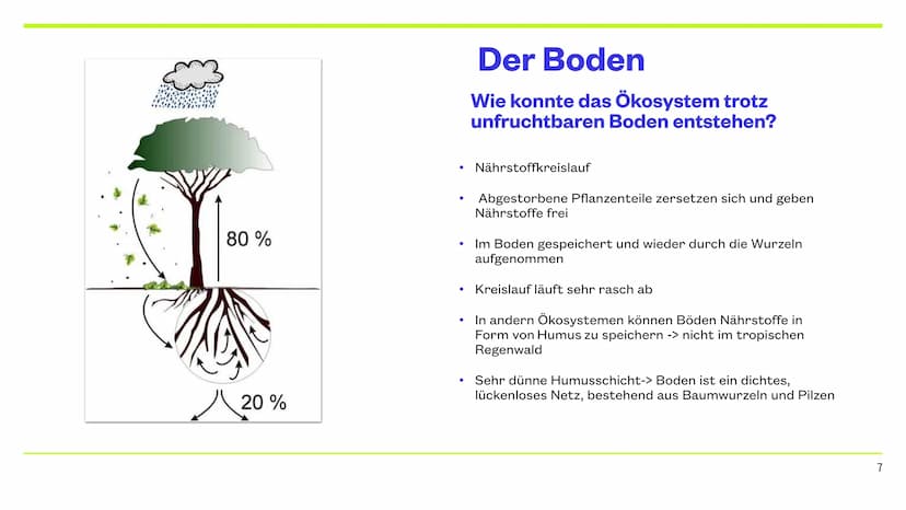 Der Tropische Regenwald
9.12.2022 CHERRY, JAYDEN, JANNIK, NICK & PHILIPP Inhaltsverzeichnis
Thema
Die Lage
Das Klima
Das Wasser
Der Boden
Ve