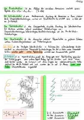 Know Aufbau von Proteinen (Aminosäuren und Strukturen) thumbnail