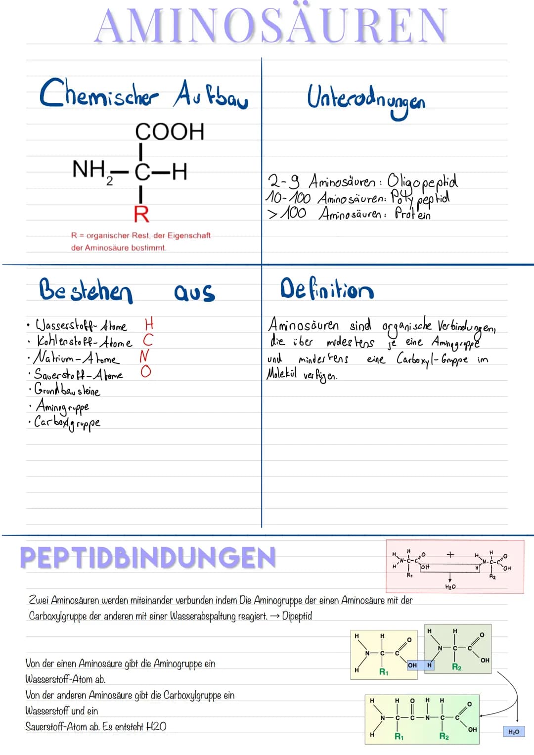 Die Primärstruktur ist die Abfolge der einzelnen Aminosäuren innerhalb eines
Peptids: AS₁-AS2-A53-Asu-.. (>100)
Die Sekundär struktur ist ei