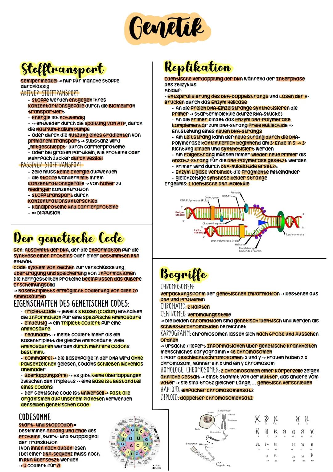 Biologie Abitur
2023 Evolutionstheorien
-> Erklärung des Artwandels und Entstehung von Arten
DARWIN
- selektionstheorie
Inkonstanz der Arten