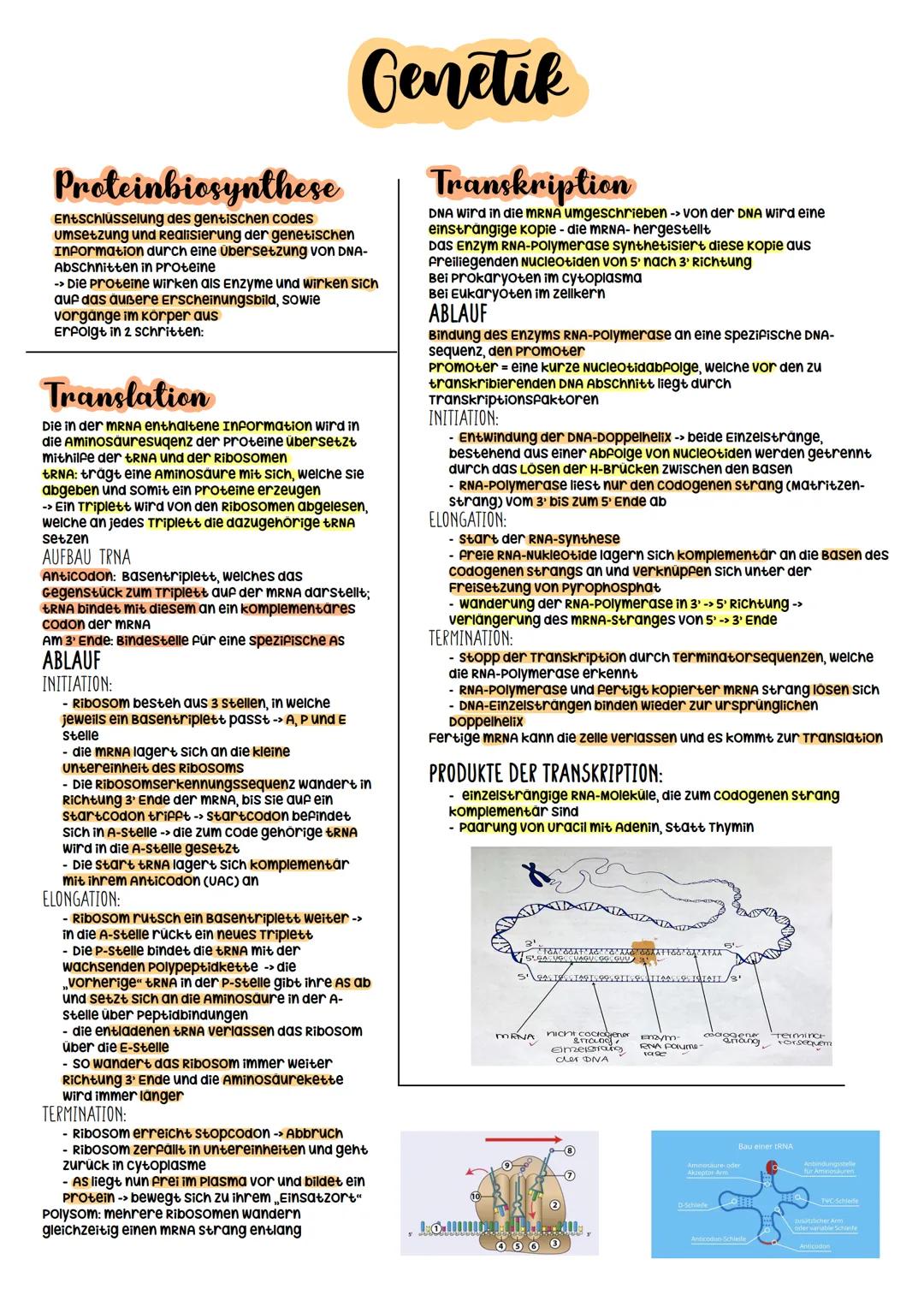 Biologie Abitur
2023 Evolutionstheorien
-> Erklärung des Artwandels und Entstehung von Arten
DARWIN
- selektionstheorie
Inkonstanz der Arten