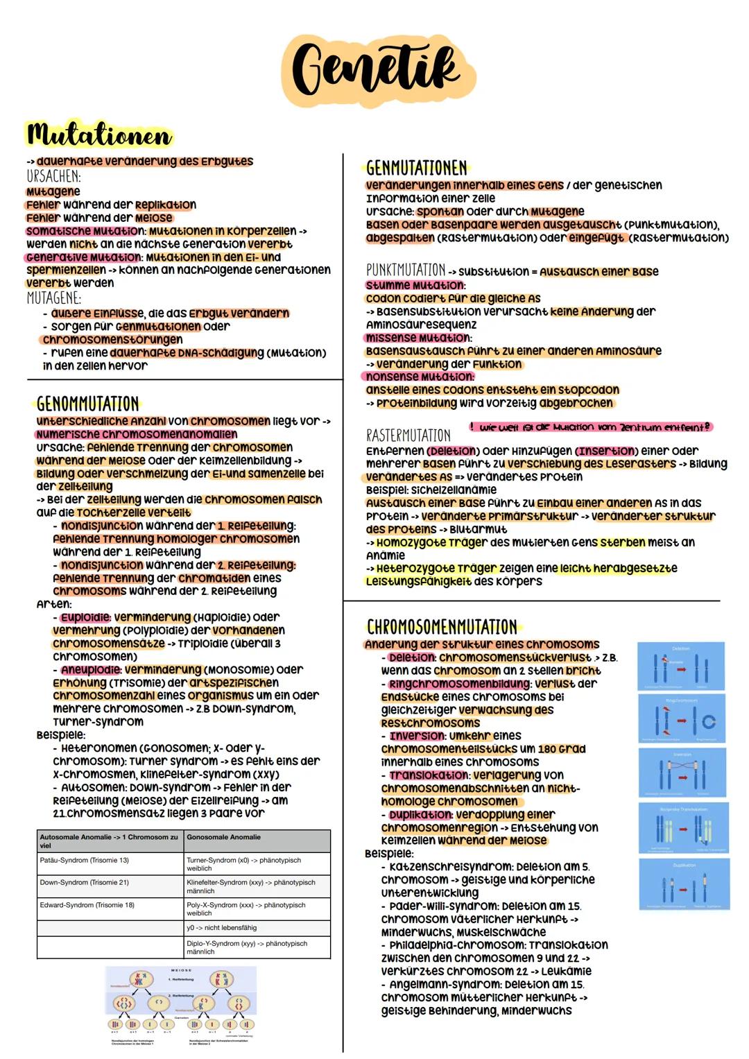 Biologie Abitur
2023 Evolutionstheorien
-> Erklärung des Artwandels und Entstehung von Arten
DARWIN
- selektionstheorie
Inkonstanz der Arten