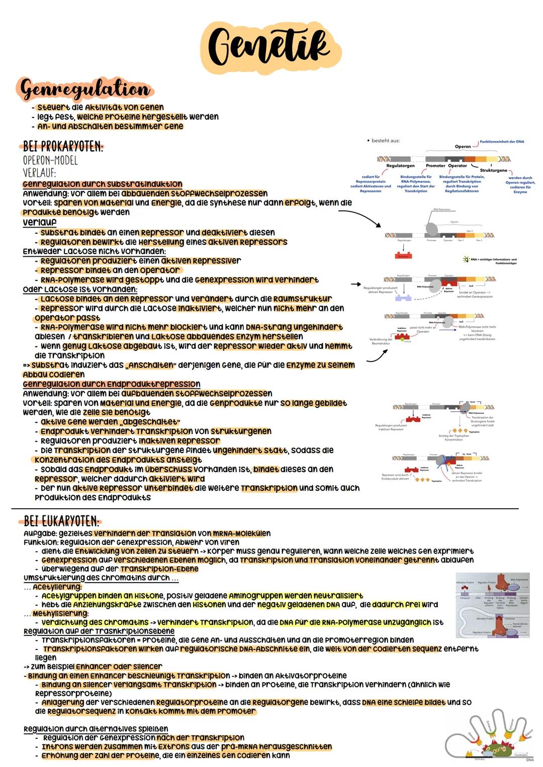 Biologie Abitur
2023 Evolutionstheorien
-> Erklärung des Artwandels und Entstehung von Arten
DARWIN
- selektionstheorie
Inkonstanz der Arten