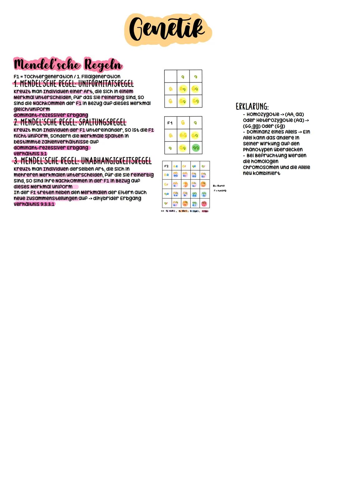 Biologie Abitur
2023 Evolutionstheorien
-> Erklärung des Artwandels und Entstehung von Arten
DARWIN
- selektionstheorie
Inkonstanz der Arten