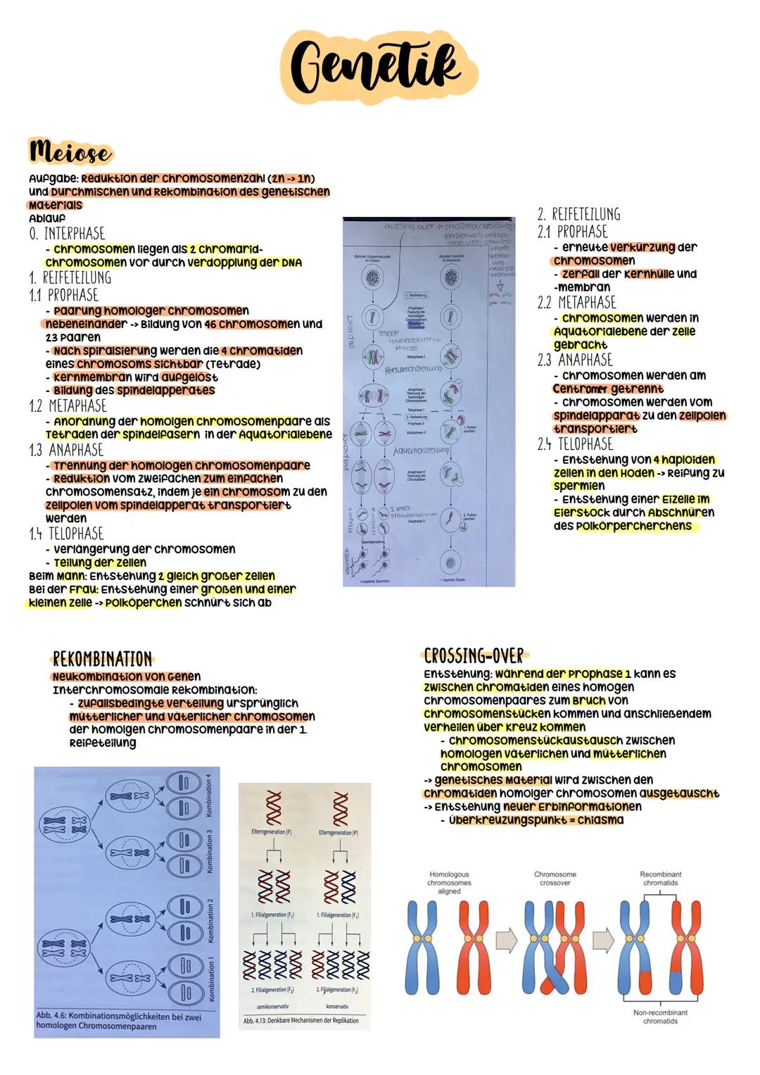 Biologie Abitur
2023 Evolutionstheorien
-> Erklärung des Artwandels und Entstehung von Arten
DARWIN
- selektionstheorie
Inkonstanz der Arten