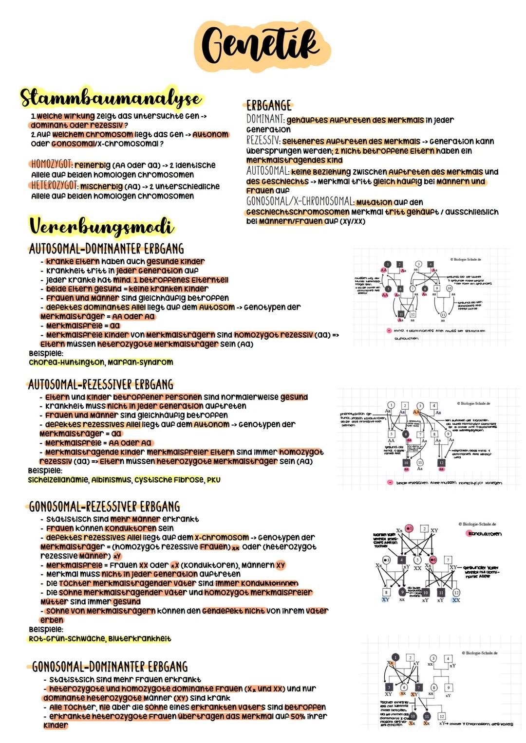 Biologie Abitur
2023 Evolutionstheorien
-> Erklärung des Artwandels und Entstehung von Arten
DARWIN
- selektionstheorie
Inkonstanz der Arten