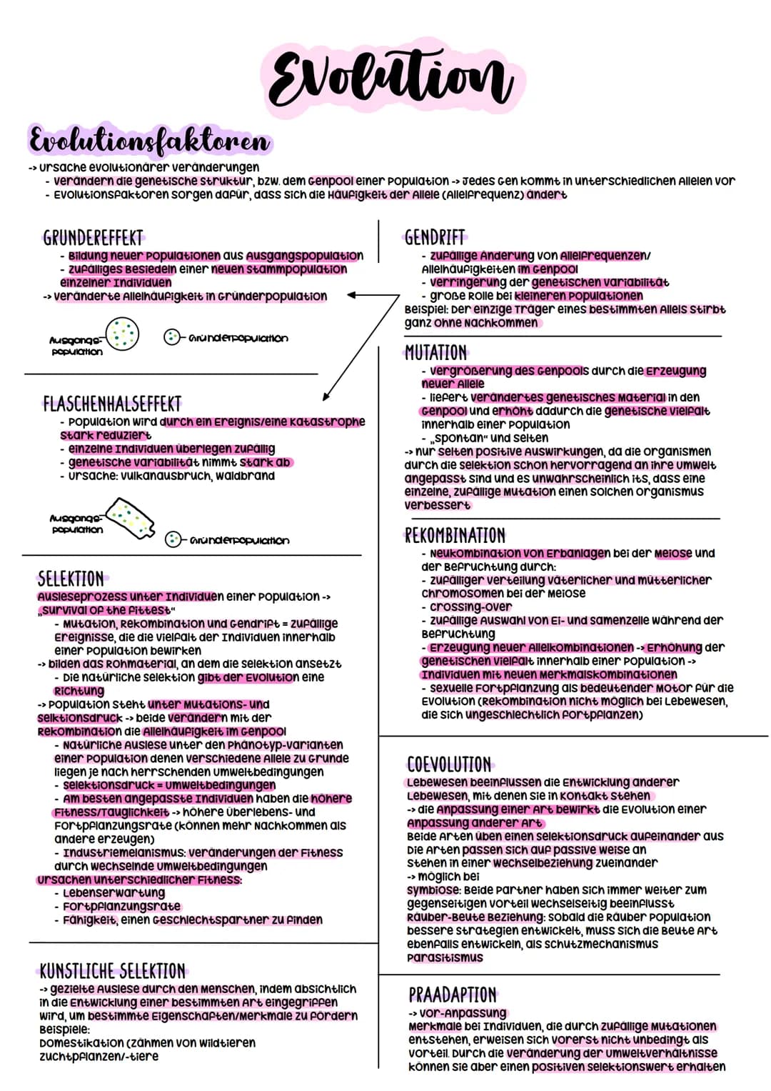 Biologie Abitur
2023 Evolutionstheorien
-> Erklärung des Artwandels und Entstehung von Arten
DARWIN
- selektionstheorie
Inkonstanz der Arten