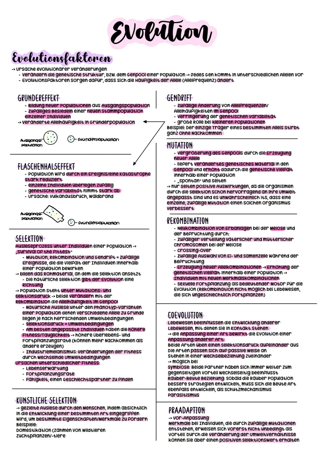 Biologie Abitur
2023 Evolutionstheorien
-> Erklärung des Artwandels und Entstehung von Arten
DARWIN
- selektionstheorie
Inkonstanz der Arten