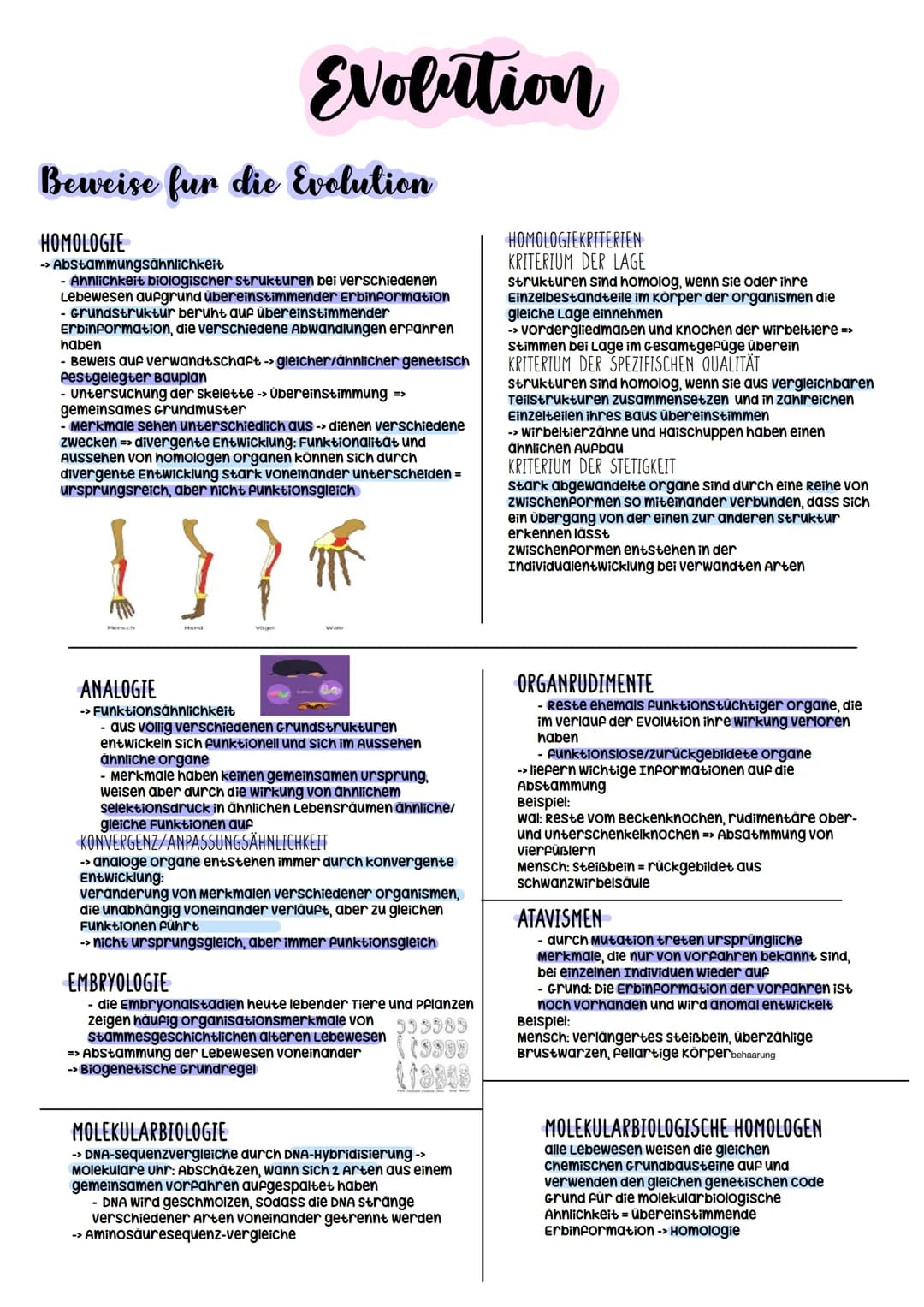 Biologie Abitur
2023 Evolutionstheorien
-> Erklärung des Artwandels und Entstehung von Arten
DARWIN
- selektionstheorie
Inkonstanz der Arten