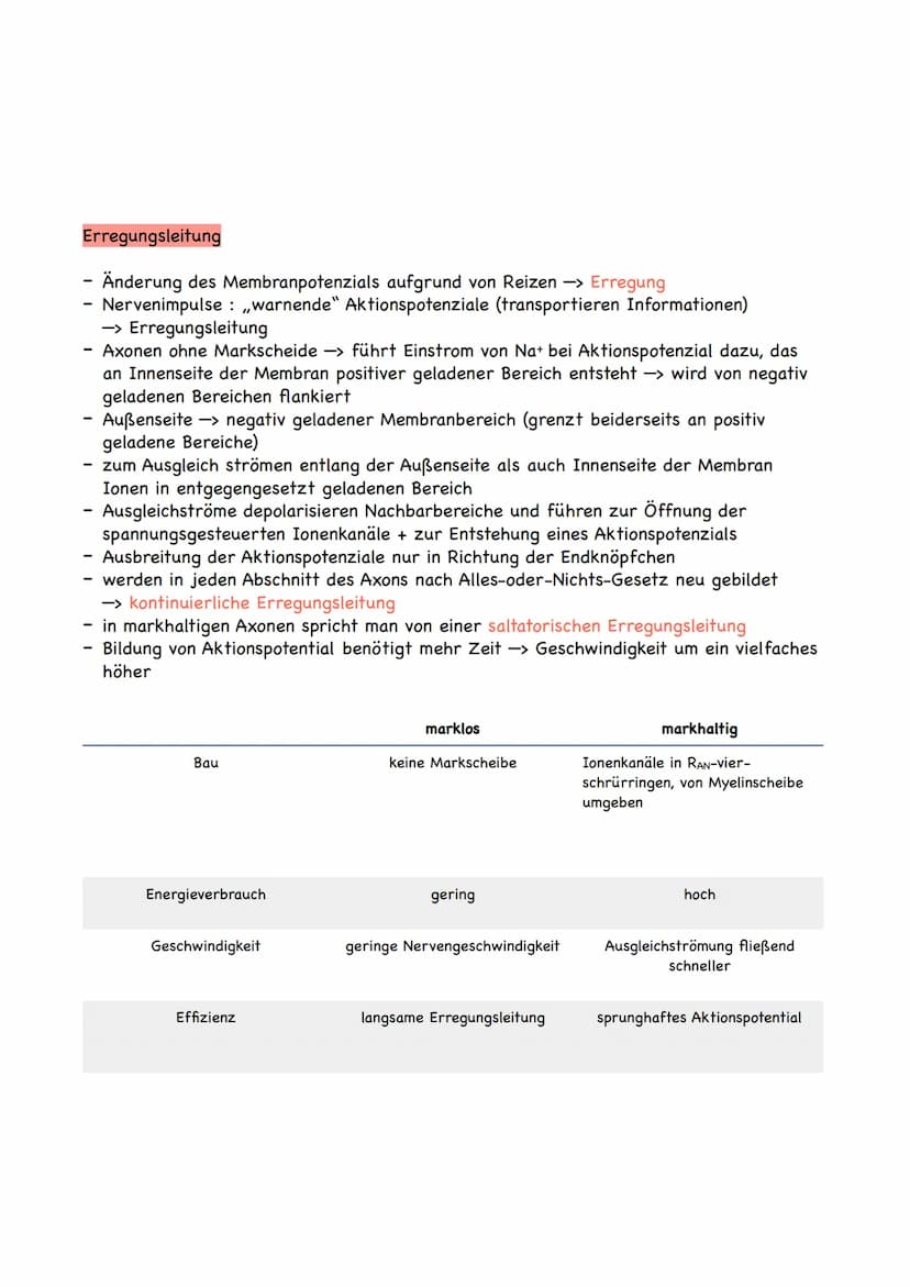 adäquater Reiz
= Reiz, auf den ein bestimmter Rezeptor anspricht
-> Rezeptor ist ein Messglied von einzelligen oder vielzelligen Organismen,