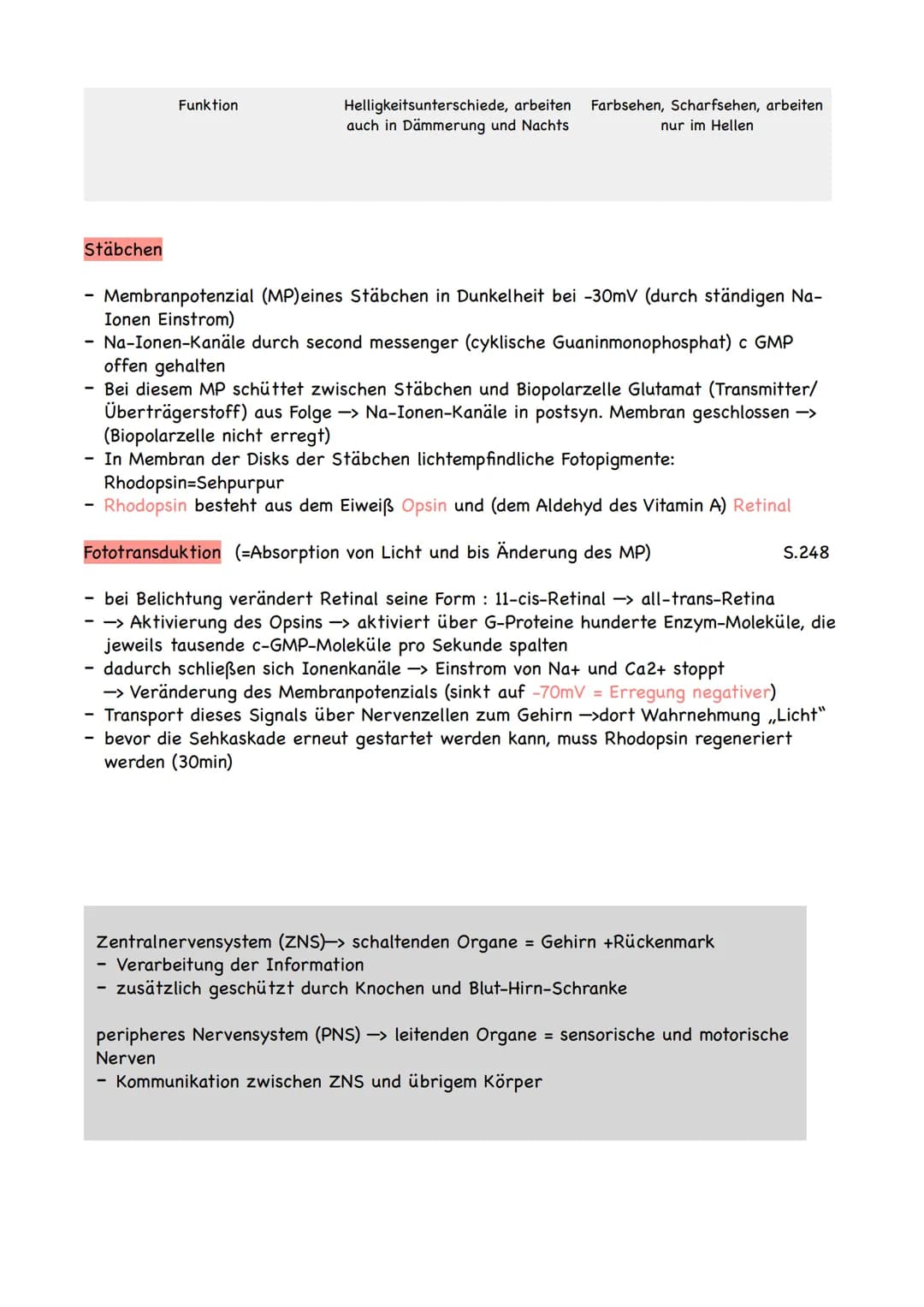 adäquater Reiz
= Reiz, auf den ein bestimmter Rezeptor anspricht
-> Rezeptor ist ein Messglied von einzelligen oder vielzelligen Organismen,