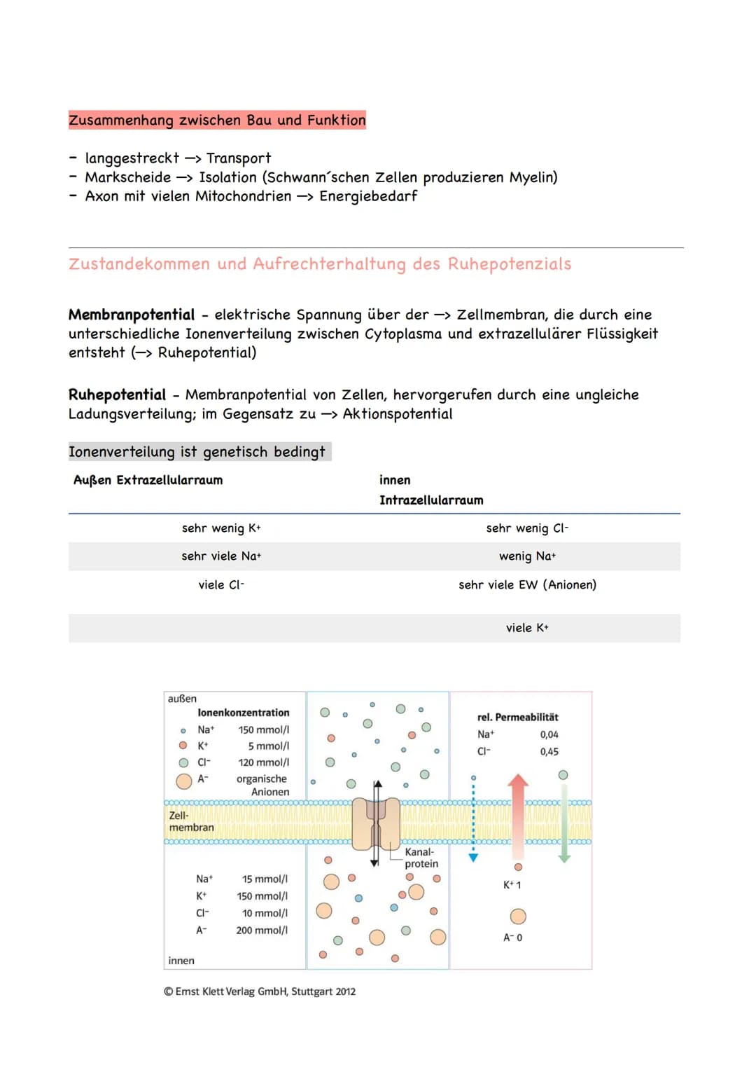 adäquater Reiz
= Reiz, auf den ein bestimmter Rezeptor anspricht
-> Rezeptor ist ein Messglied von einzelligen oder vielzelligen Organismen,