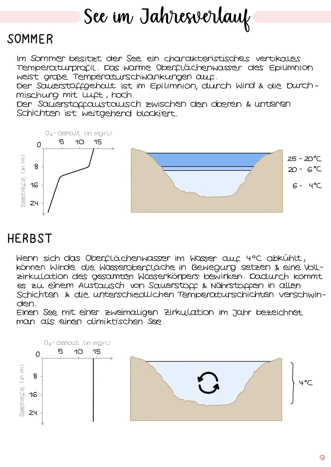 1. Grundbegriffe der Ökologie
→ Glossar | S. 1
→ ökologische Ebenen IS.2
ÖKOSYSTEM SEE
Klausur Ökologie
5.
2. biotische & abiotische Faktore