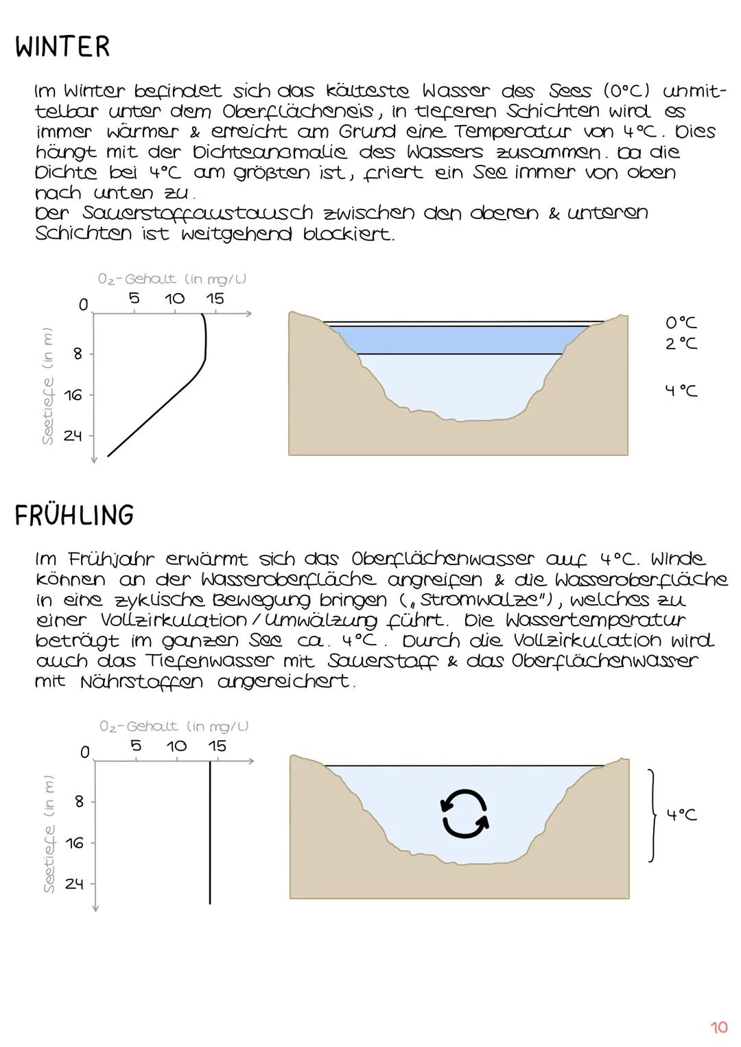 1. Grundbegriffe der Ökologie
→ Glossar | S. 1
→ ökologische Ebenen IS.2
ÖKOSYSTEM SEE
Klausur Ökologie
5.
2. biotische & abiotische Faktore