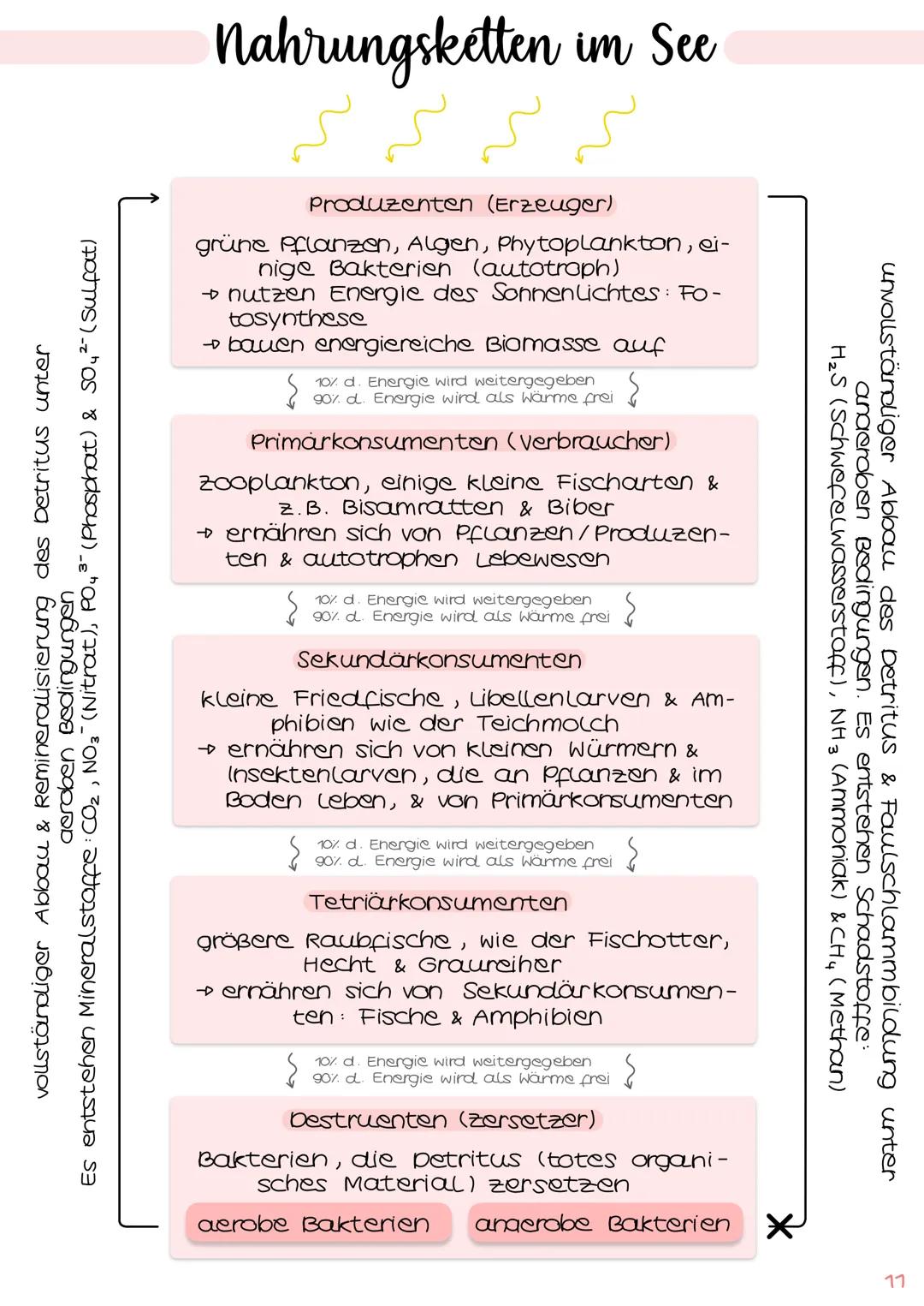 1. Grundbegriffe der Ökologie
→ Glossar | S. 1
→ ökologische Ebenen IS.2
ÖKOSYSTEM SEE
Klausur Ökologie
5.
2. biotische & abiotische Faktore