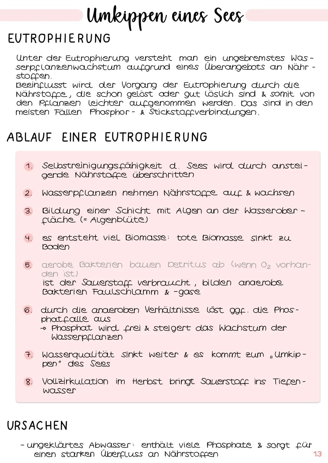 1. Grundbegriffe der Ökologie
→ Glossar | S. 1
→ ökologische Ebenen IS.2
ÖKOSYSTEM SEE
Klausur Ökologie
5.
2. biotische & abiotische Faktore