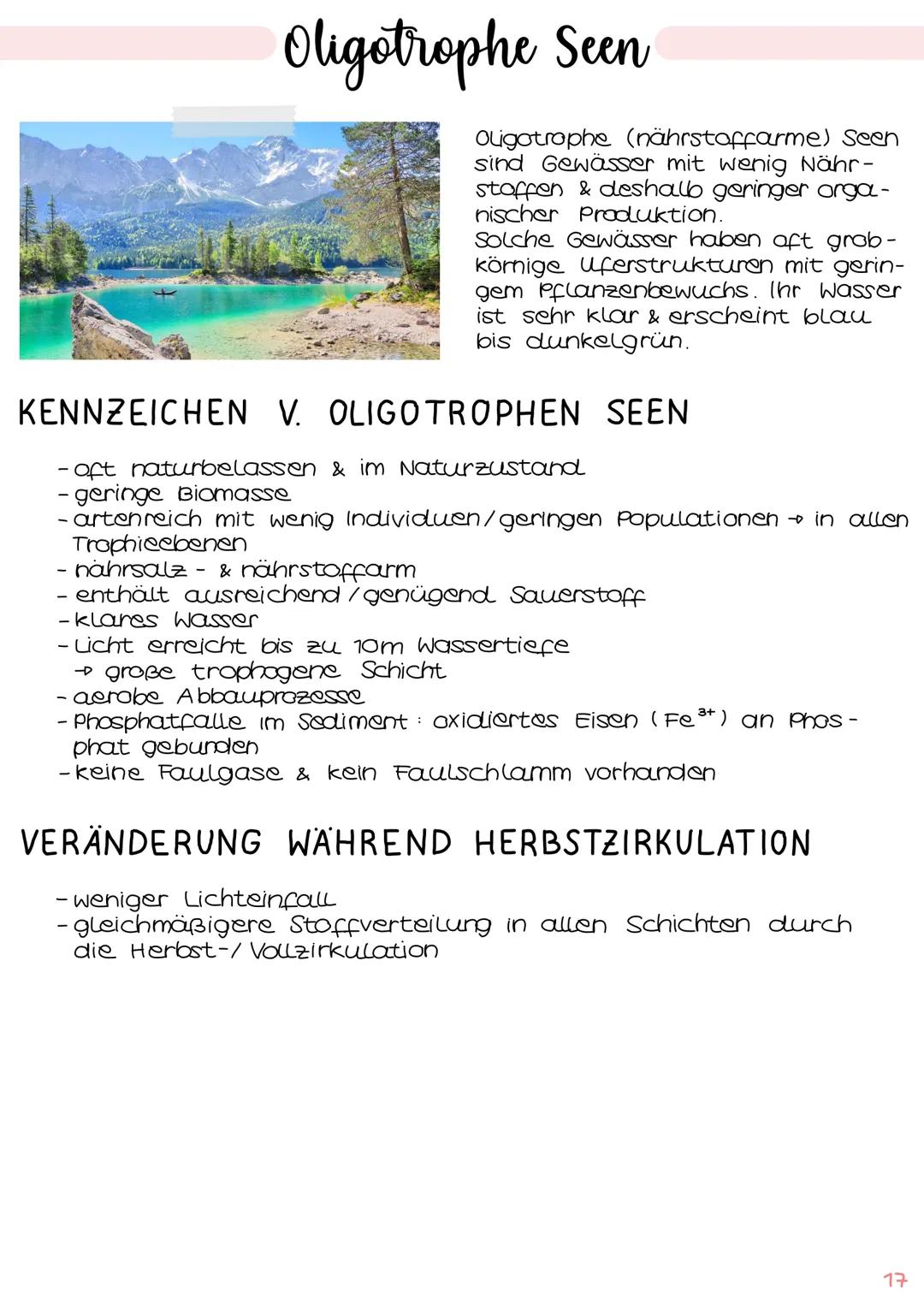 1. Grundbegriffe der Ökologie
→ Glossar | S. 1
→ ökologische Ebenen IS.2
ÖKOSYSTEM SEE
Klausur Ökologie
5.
2. biotische & abiotische Faktore