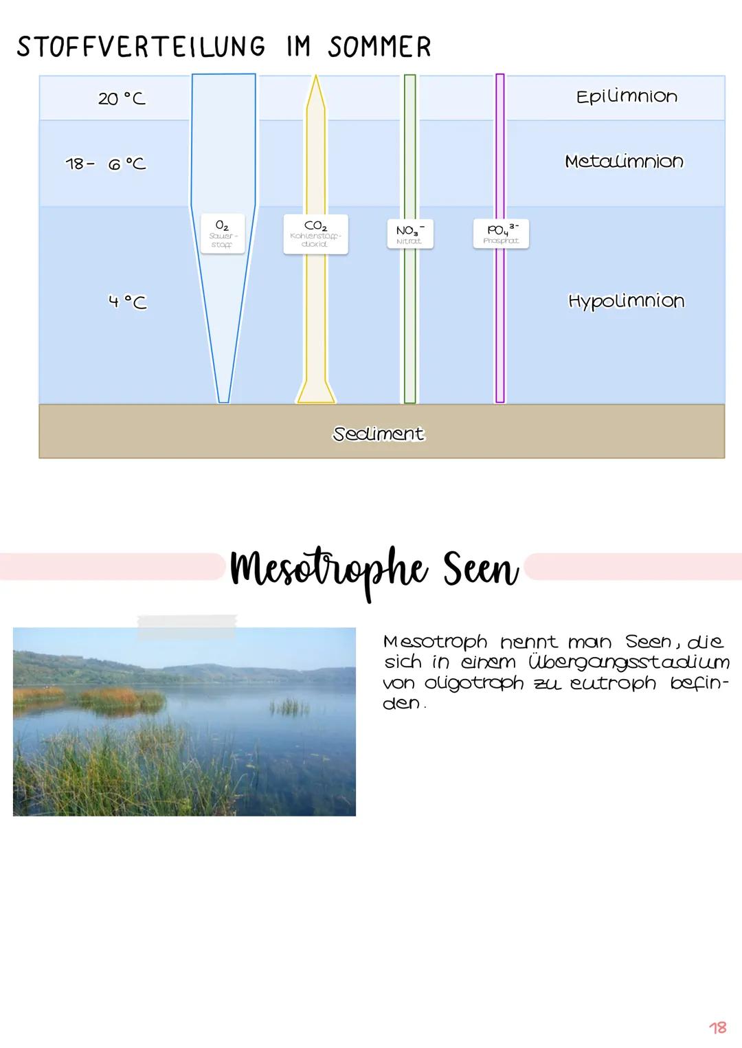 1. Grundbegriffe der Ökologie
→ Glossar | S. 1
→ ökologische Ebenen IS.2
ÖKOSYSTEM SEE
Klausur Ökologie
5.
2. biotische & abiotische Faktore