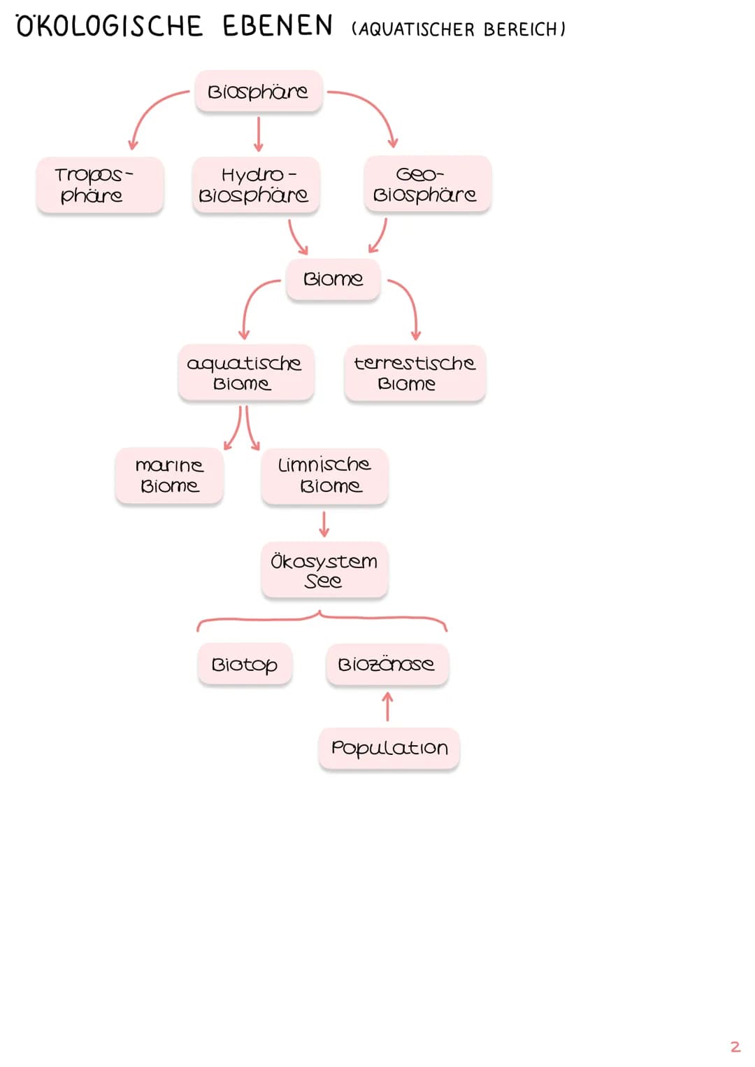 1. Grundbegriffe der Ökologie
→ Glossar | S. 1
→ ökologische Ebenen IS.2
ÖKOSYSTEM SEE
Klausur Ökologie
5.
2. biotische & abiotische Faktore