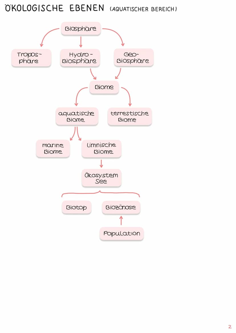 1. Grundbegriffe der Ökologie
→ Glossar | S. 1
→ ökologische Ebenen IS.2
ÖKOSYSTEM SEE
Klausur Ökologie
5.
2. biotische & abiotische Faktore