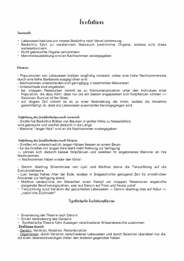 Know Evolution | Biologie Oberstufe LK thumbnail
