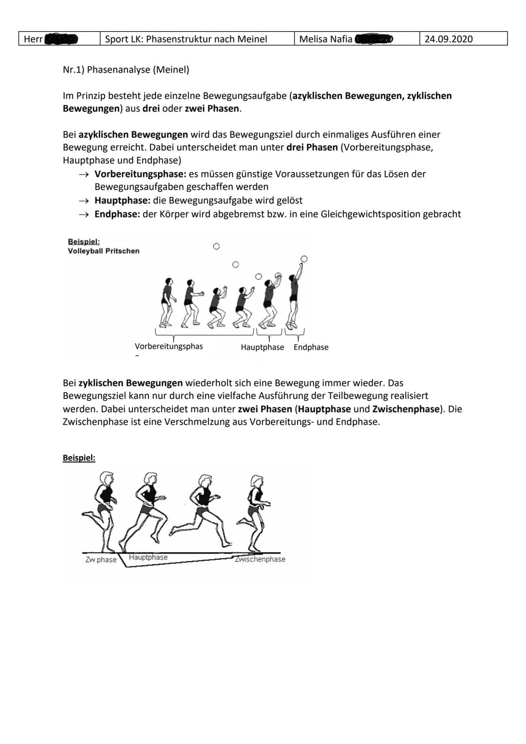 Herr
Sport LK: Phasenstruktur nach Meinel
Nr.1) Phasenanalyse (Meinel)
Im Prinzip besteht jede einzelne Bewegungsaufgabe (azyklischen Bewegu