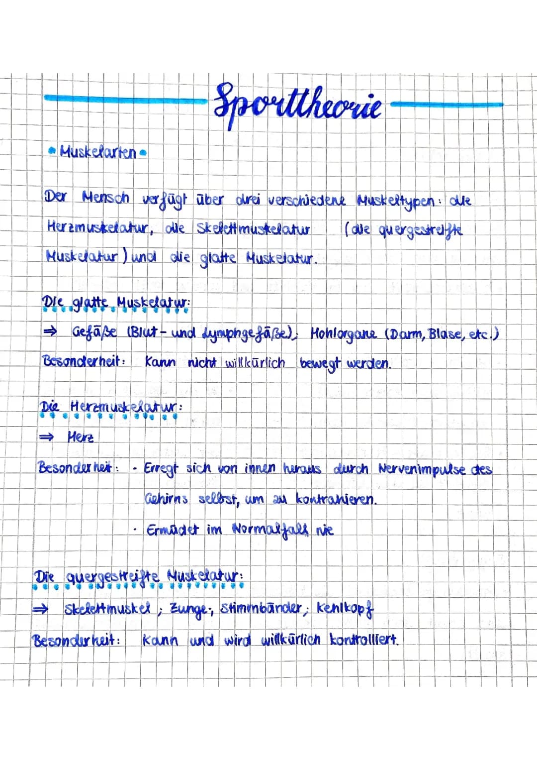 Muskelarten