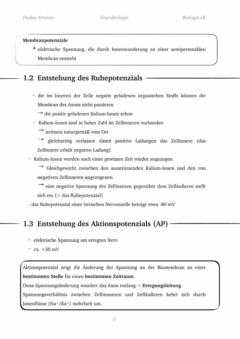 Dudau Artsiom
1.1 Nervenzellen
Bau und Funktion von Nervenzellen
Dendrit
Zellkörper
Organelle
Dendrit
Zellkörper
Zellkern
Axonhügel
Axon
End