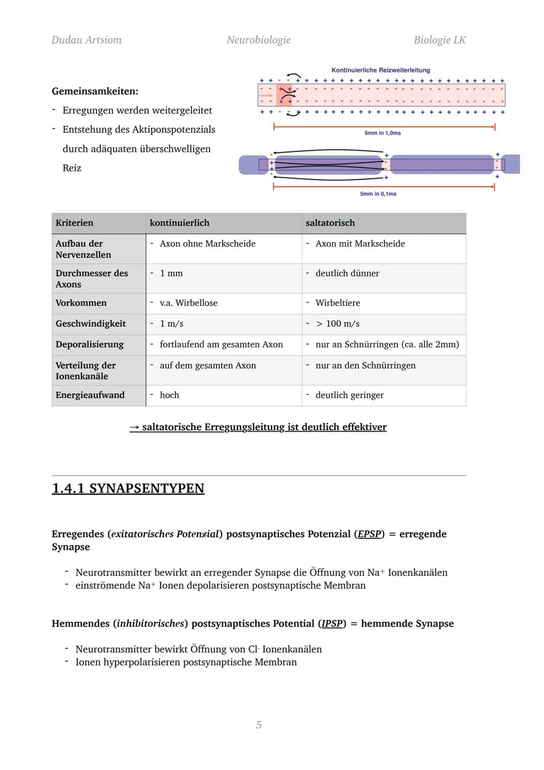 Dudau Artsiom
1.1 Nervenzellen
Bau und Funktion von Nervenzellen
Dendrit
Zellkörper
Organelle
Dendrit
Zellkörper
Zellkern
Axonhügel
Axon
End