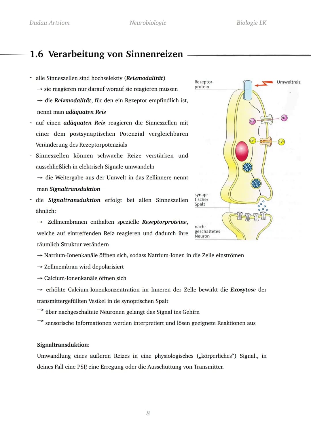 Dudau Artsiom
1.1 Nervenzellen
Bau und Funktion von Nervenzellen
Dendrit
Zellkörper
Organelle
Dendrit
Zellkörper
Zellkern
Axonhügel
Axon
End