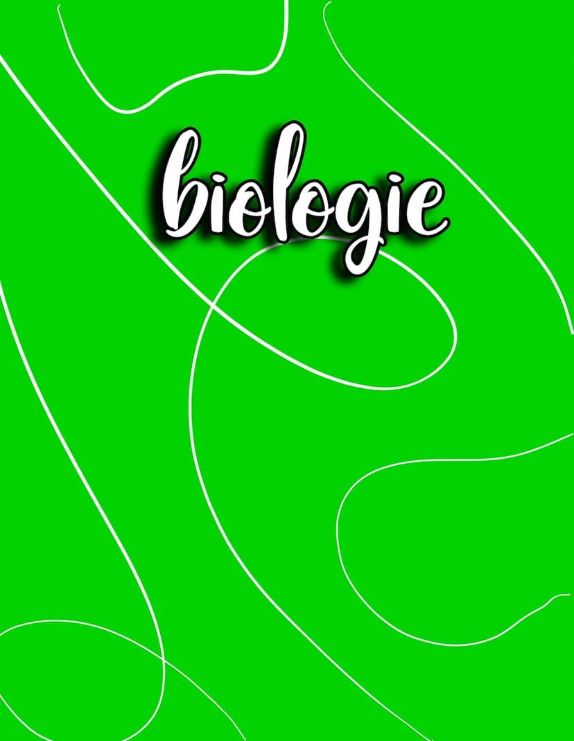 spanisch englisch latein deutsch mathe physik chemie biologie geschichte religion !
mus