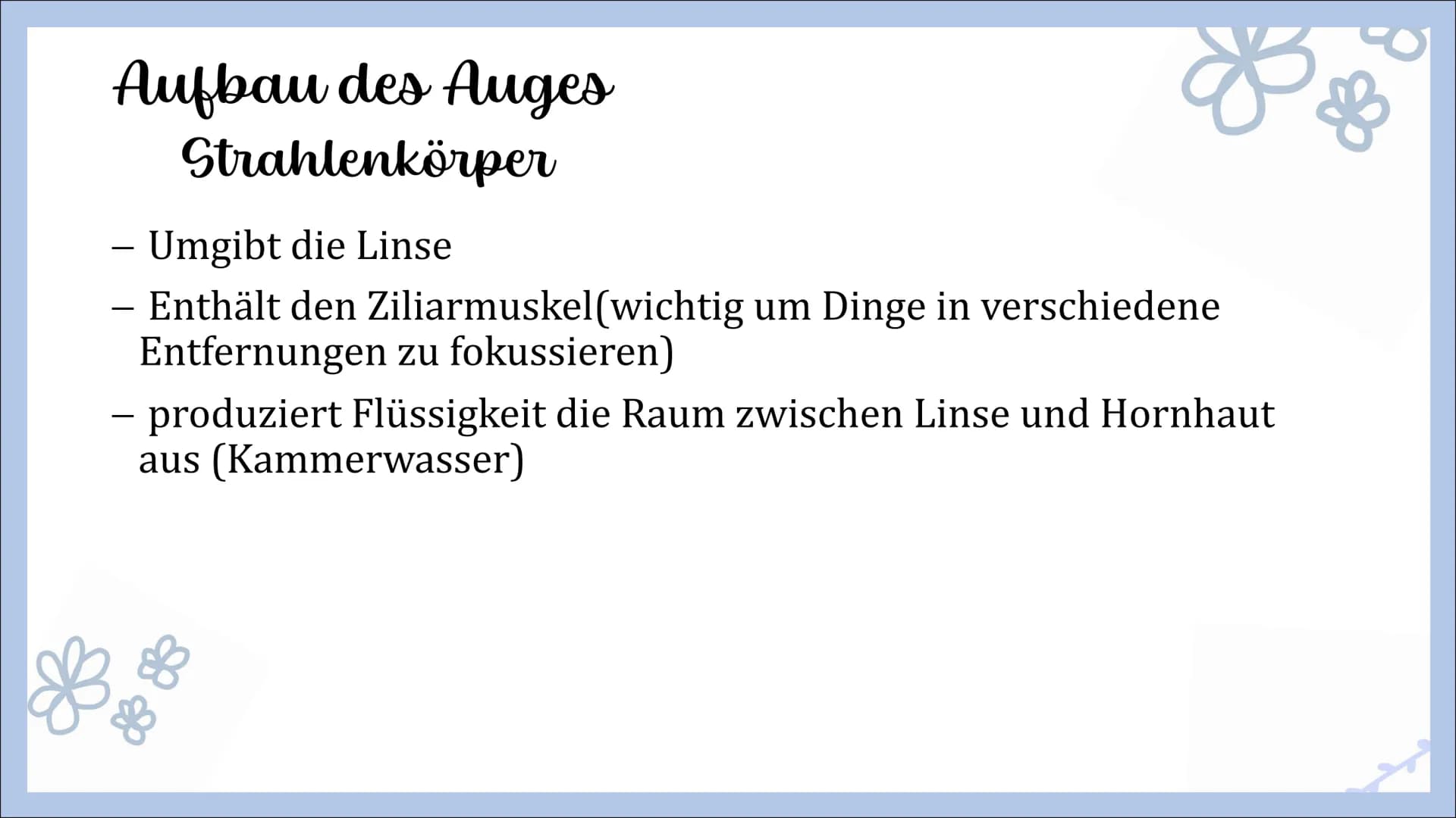 Sinnesorgan Auge
von Angelina, Michelle und Femke Gliederung
- Innerer Aufbau des Auges
Hornhaut
Lederhaut
Regenbogenhaut
Pupille
Linse
Glas